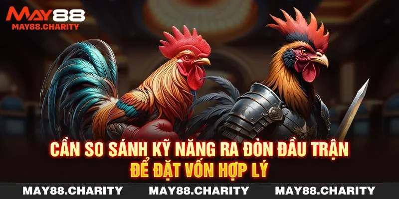 Đá Gà Thomo - Tham Gia Cá Độ Chọi Kê Mỗi Ngày Cùng MAY88 Cần so sánh kỹ năng ra đòn đầu trận để đặt vốn hợp lý
