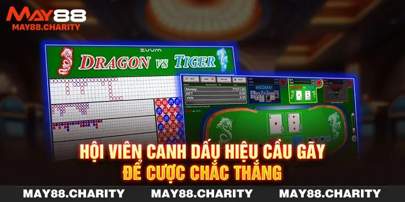Rồng Hổ Đổi Thưởng - Quy Tắc Chơi Và Mẹo Cược Chắc Thắng Hội viên canh dấu hiệu cầu gãy để cược chắc thắng
