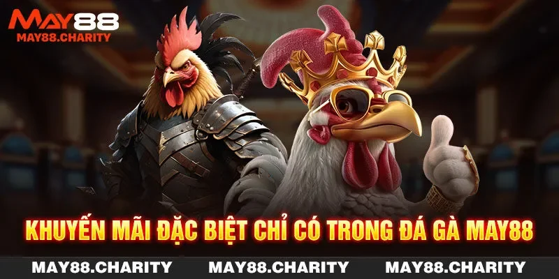 Đá Gà MAY88 - Đa Dạng Hình Thức & Ưu Đãi Hấp Dẫn 2025 Khuyến mãi đặc biệt chỉ có trong đá gà MAY88