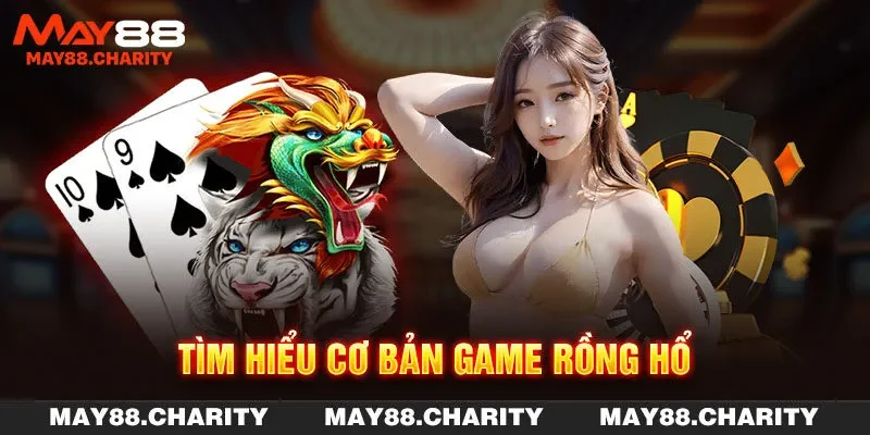Rồng Hổ Đổi Thưởng - Quy Tắc Chơi Và Mẹo Cược Chắc Thắng Tìm hiểu cơ bản game Rồng Hổ